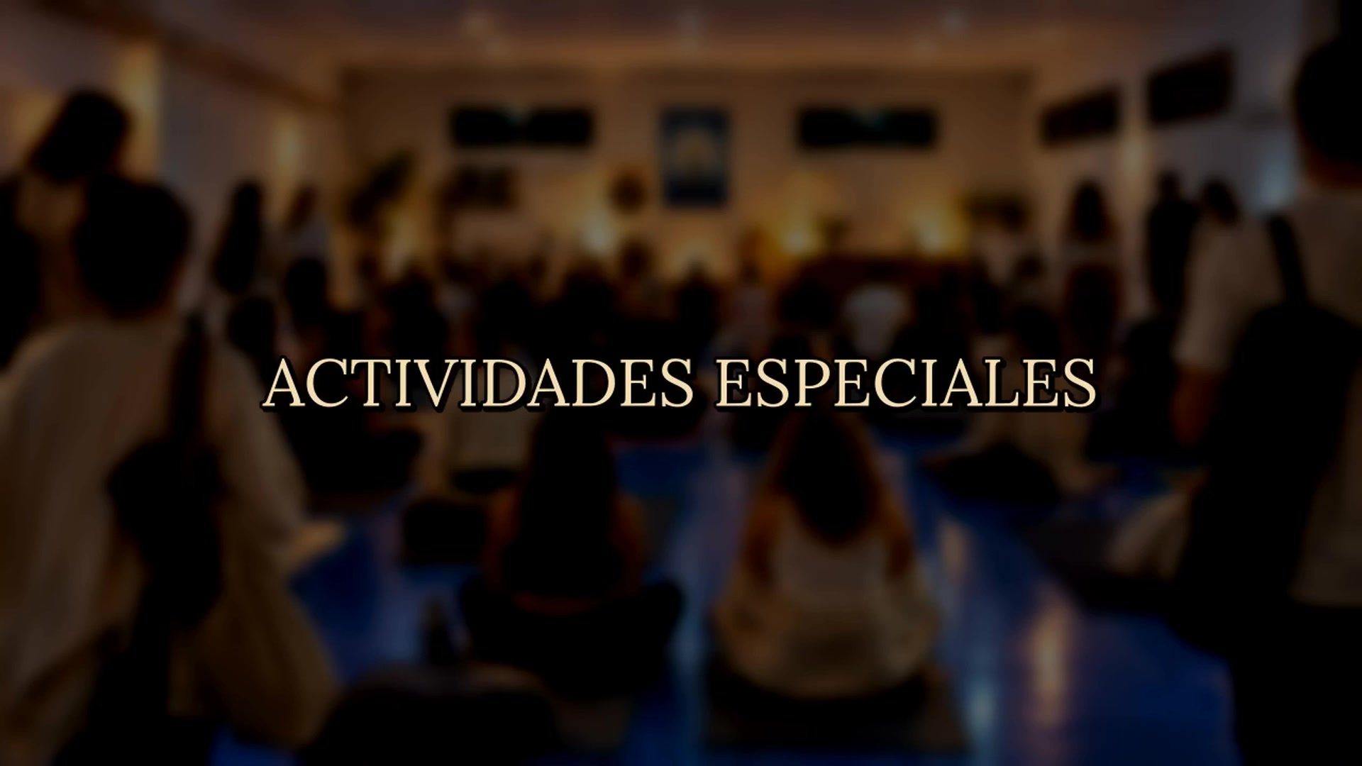 Bienestar Experience & Longevidad